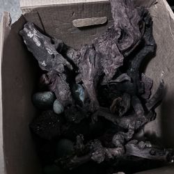 Aquatic Rocks And Drift Wood 