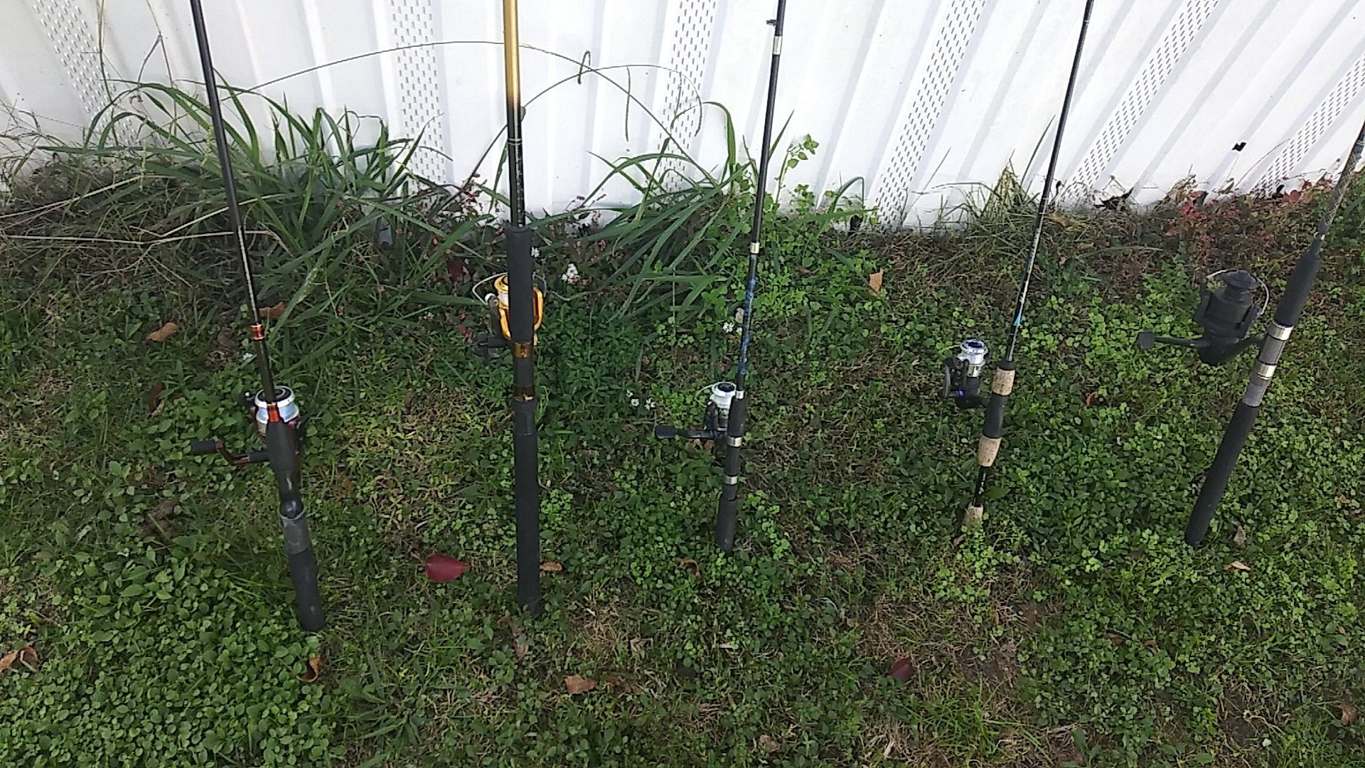 Fishing rods and reels