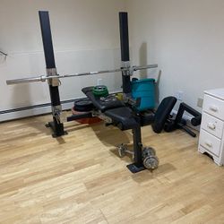 Golds Gym Weight Bench