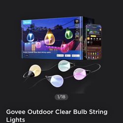 Govee 96 ft Outdoor Smart String Lights Alexa Google Home