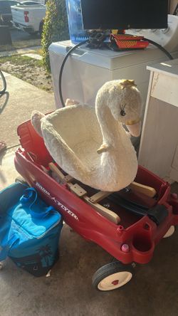 Swan