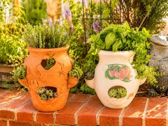 Vintage Lot 2 Strawberry Pots Weathered Chipped Planter Pots Small Garden Terracotta Vessel Drainage