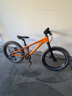 Giant Stp 20 and Polygon premier 20