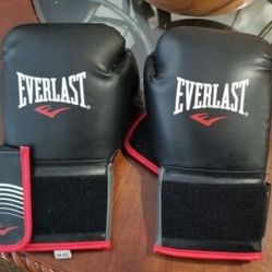 Everlast Boxing Gloves 