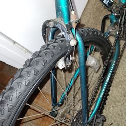 Bicycle And A 80cc Gas Engine 