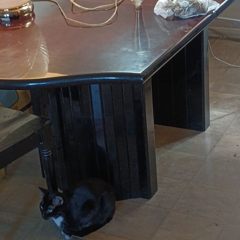 Ten Seat Hardwood Dining Table $1500 OBO