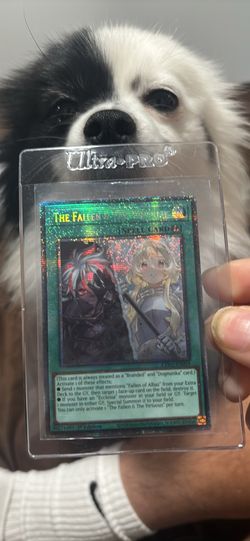 The fallen and the virtuous (starlight rare)