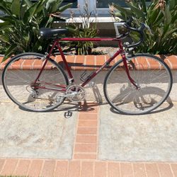 Nishiki road bike for sale new arrivals