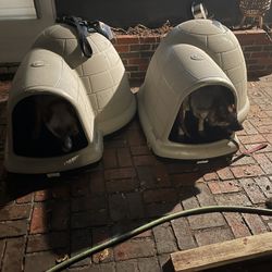 X-Large Dog Igloo House