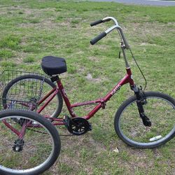24 INCH ADULT MANTIS TRICYCLE 