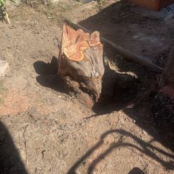 Stump Removal