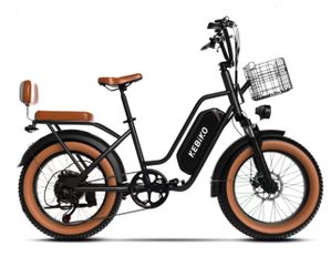 Euybike F8P Step Thru Electric Bike