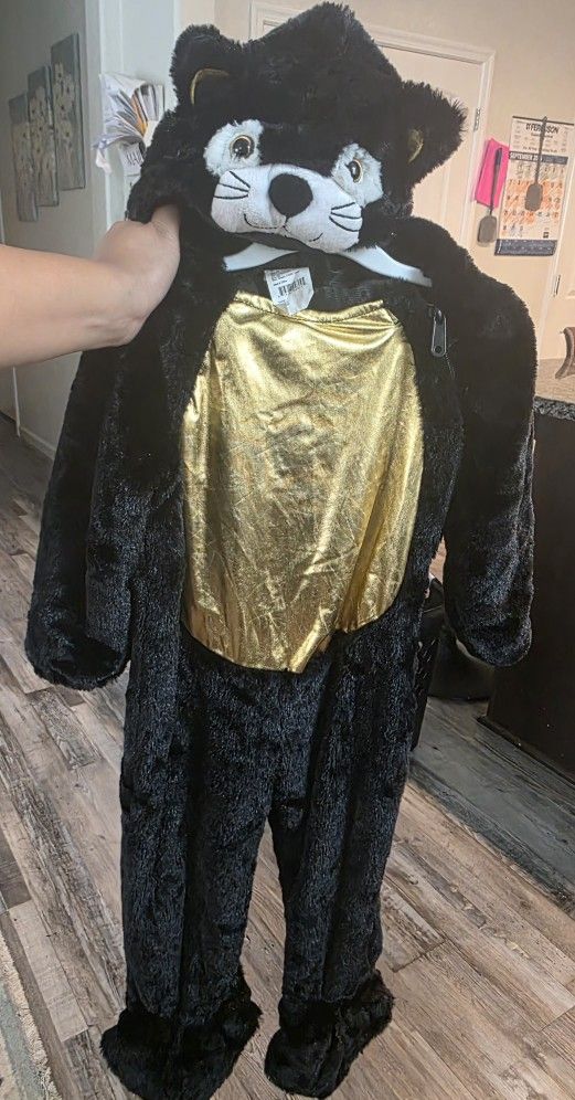18-24month Blacm Cat Costume Never Worn