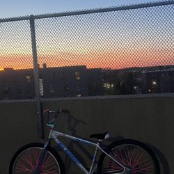 SE BIG RIPPER