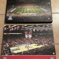 University Of Arizona  Canvas Frame Art Set