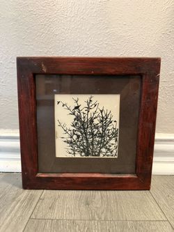 Rustic Framed Nature Print – “Winter Perch” (9” x 9”)