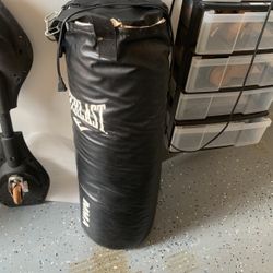 Punching Bag