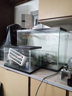 Fish Tanks! Large & Small!