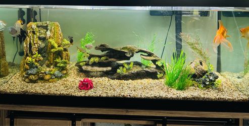 75 Gallons fish tank