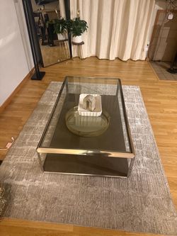 Real Crocodile Glass and Chrome Two-Tier Coffee Table