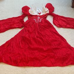 Wicked Queen Costume- Adult Size 8/10