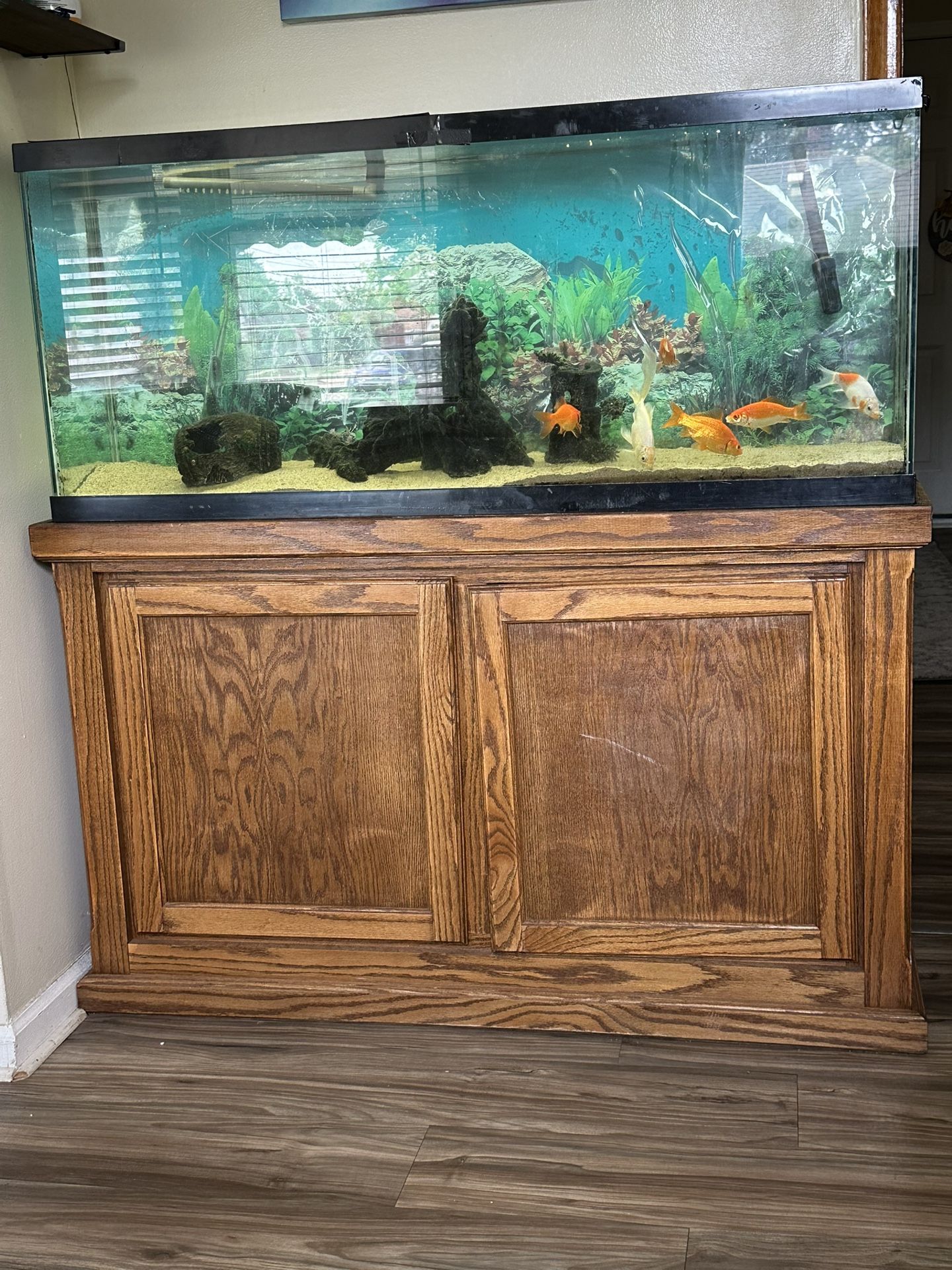 Fish Tank