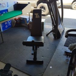 The Tib Bar Guy Nordic Weight Bench