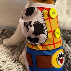 Custom Woody Pet Clothes