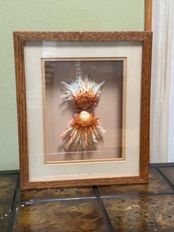 Vintage Coastal Seashell Shadow Box Wall Art – Framed 3D Shell Display