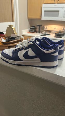 Dunks size 10