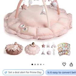 Baby Play Gym