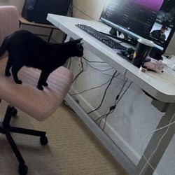 Adjustable Height Desk