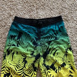 Men’s Swimsuits 