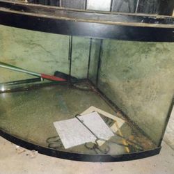 Cornered Tank ( Fresh Or Salt Water Fish)