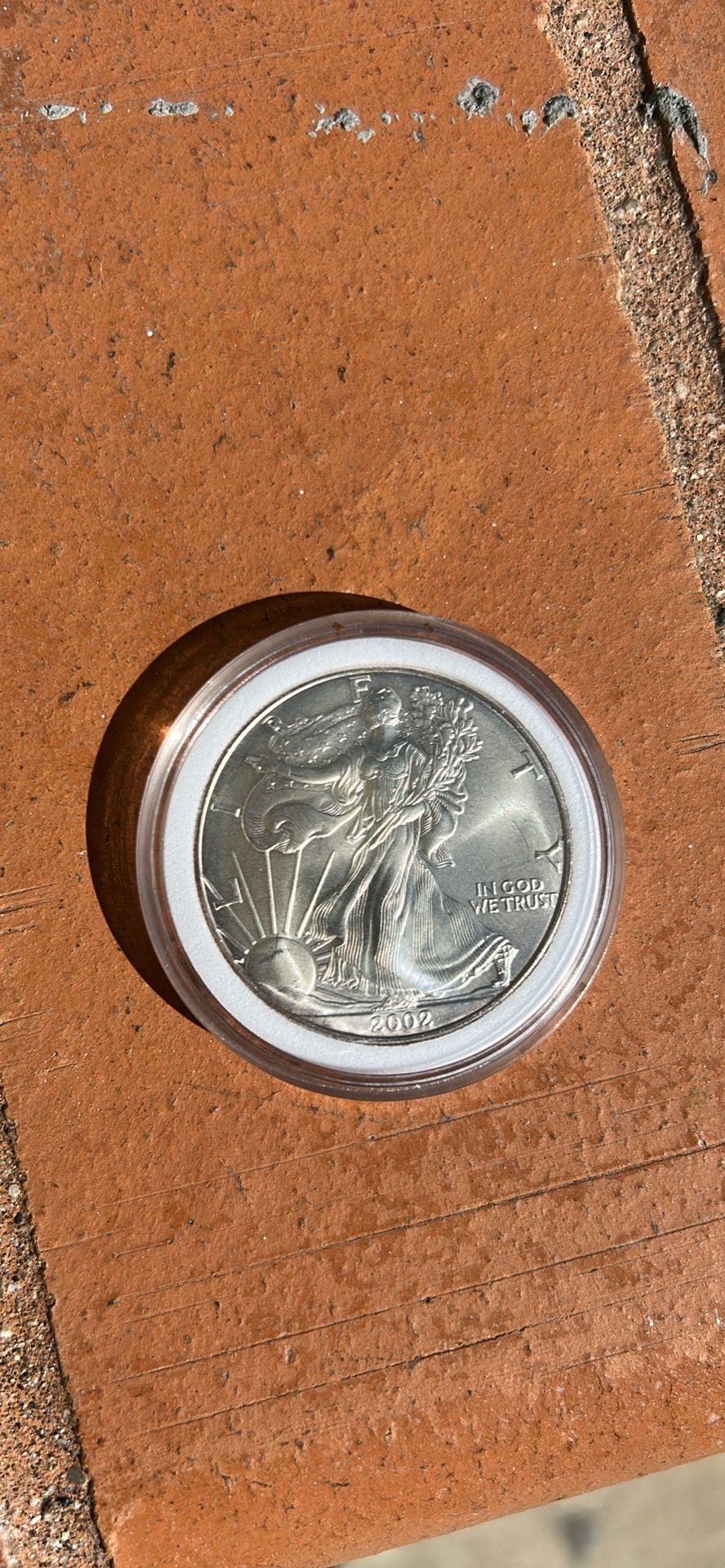 2002 1 Ounce Silver Coin