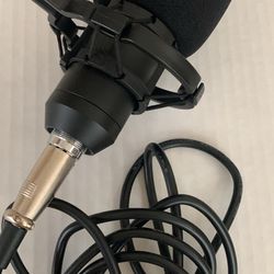 Black Microphone 
