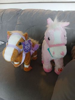 Horses