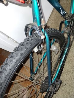 Buy the bicycle and get the 80cc Gas Engine for free