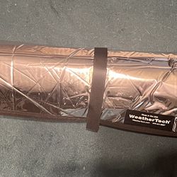 Weather Tech Mustang 2020