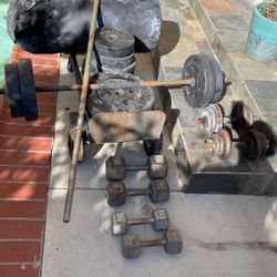 Gym Equipment