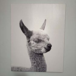 Alpaca Canva Black & White Portrait  plus cute Alpaca mug