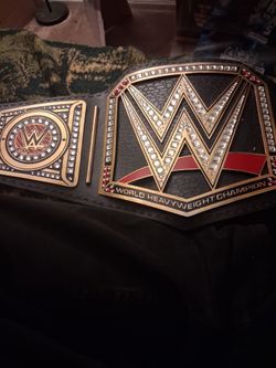 WWE Title 2017