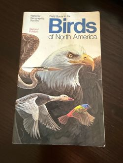 Bird Watching Book