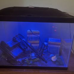 20 Gal Fish Tank