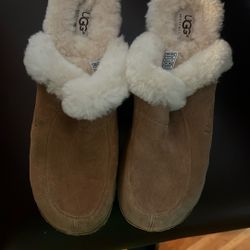 UGG Kalie Chestnut Suede 