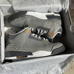 Air Jordan 3 Cool Grey 