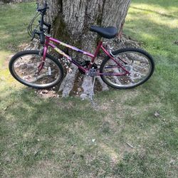 24” Mountain Bike 