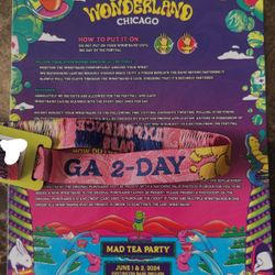 BEYOND WONDERLAND CHICAGO 2024