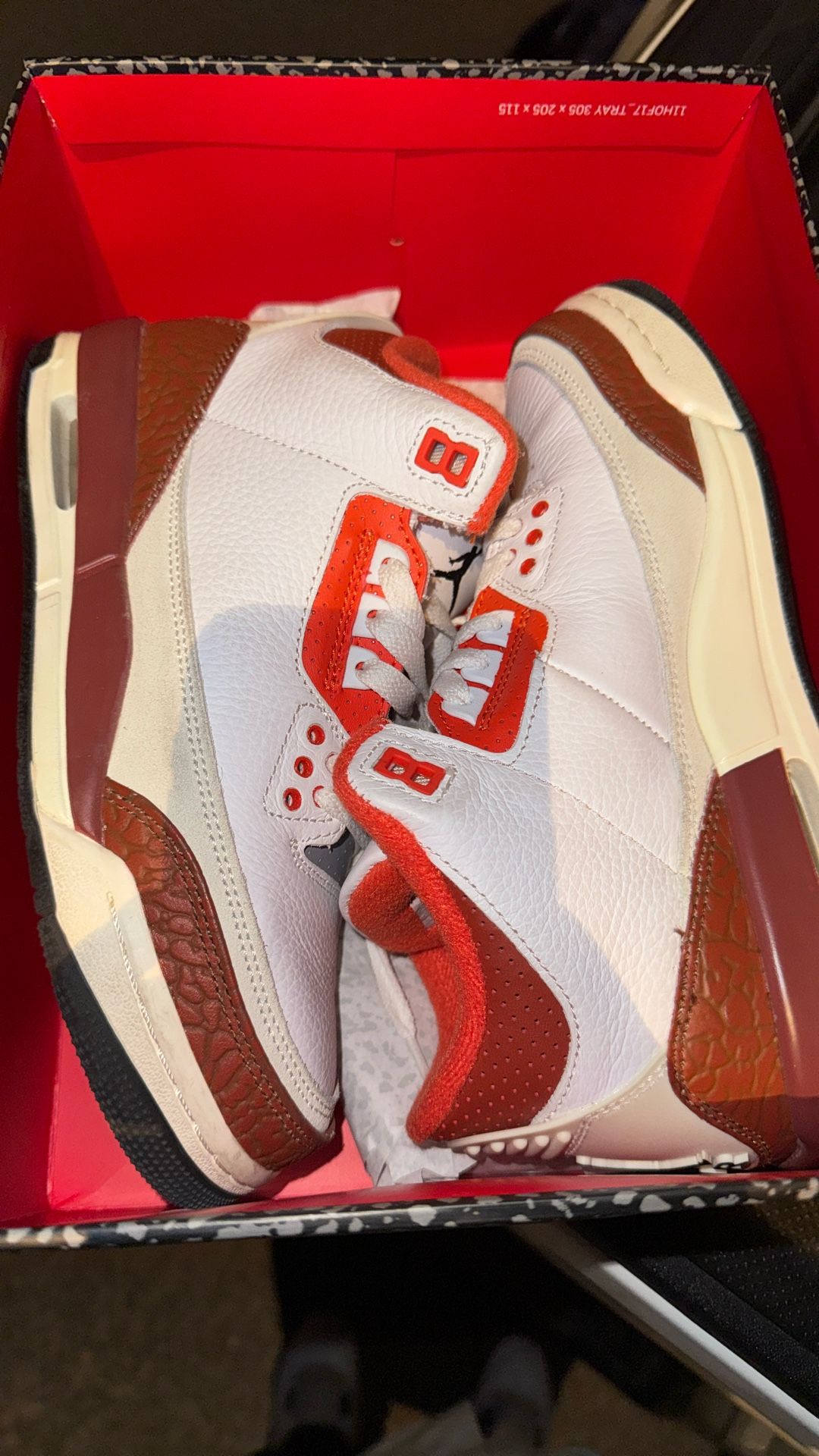 Jordan 3 “Dunk On Mars”