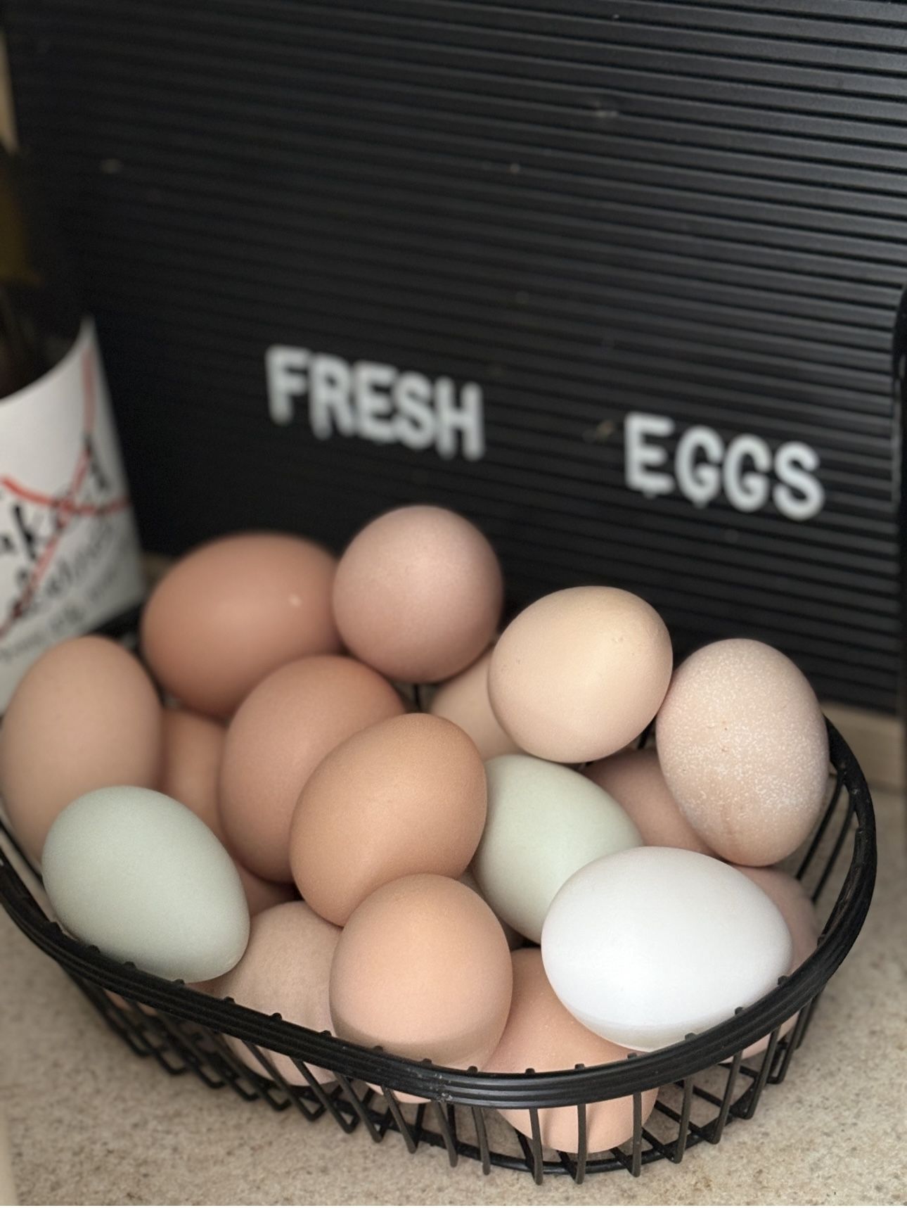 Fresh Eggs